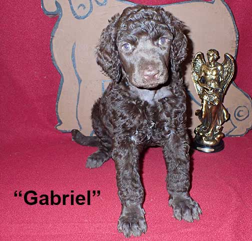gb5wkGabriel0365