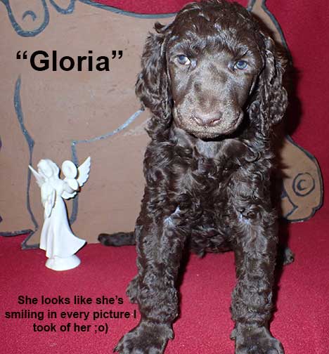 gb5wkGloria3010