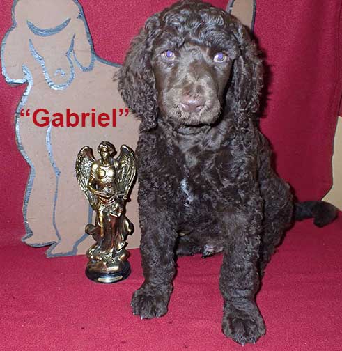 gb7wkGabriel0365