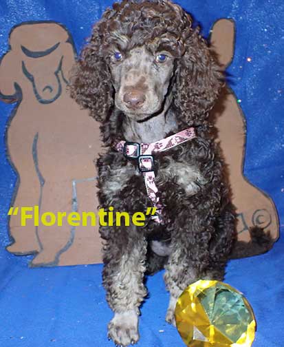 gr9wkFlorentine6215