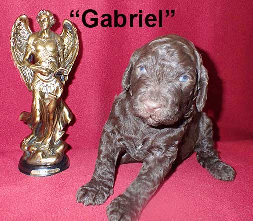 jb3wkGabriel0365