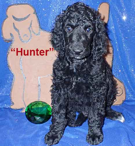 jd7wkHunter3448