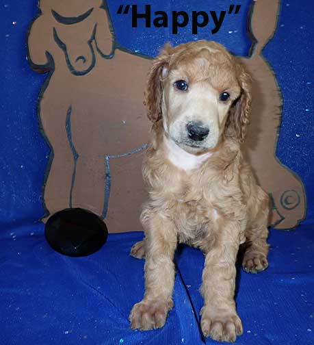 jh5wkHappy3444