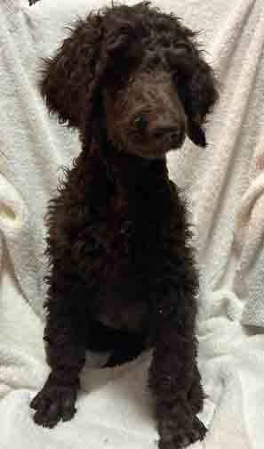 Duece9wk